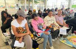Gobierno de la alcaldesa Rosi Wong consolida estrategia de bienestar animal con más de 4 mil esterilizaciones gratuitas en lo que va del 2026