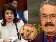 El comediante «el Costeño» exige castigo a senadora mata perros, Mariela Gutiérrez