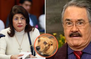 El comediante «el Costeño» exige castigo a senadora mata perros, Mariela Gutiérrez