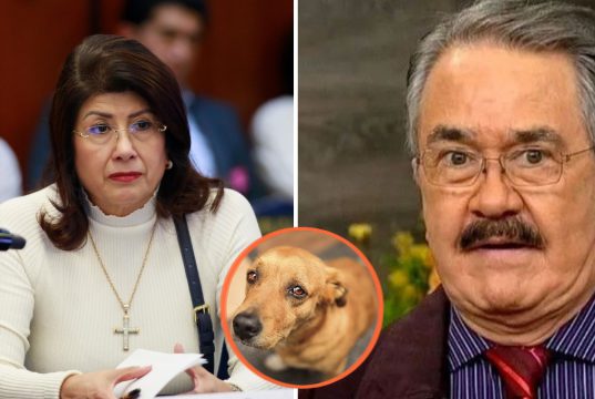 El comediante «el Costeño» exige castigo a senadora mata perros, Mariela Gutiérrez